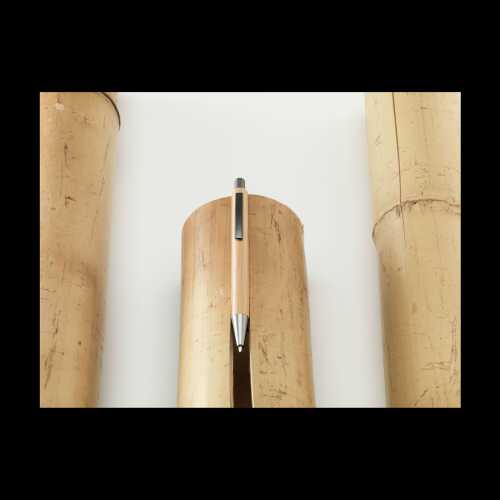 bambus-bamboo-penn